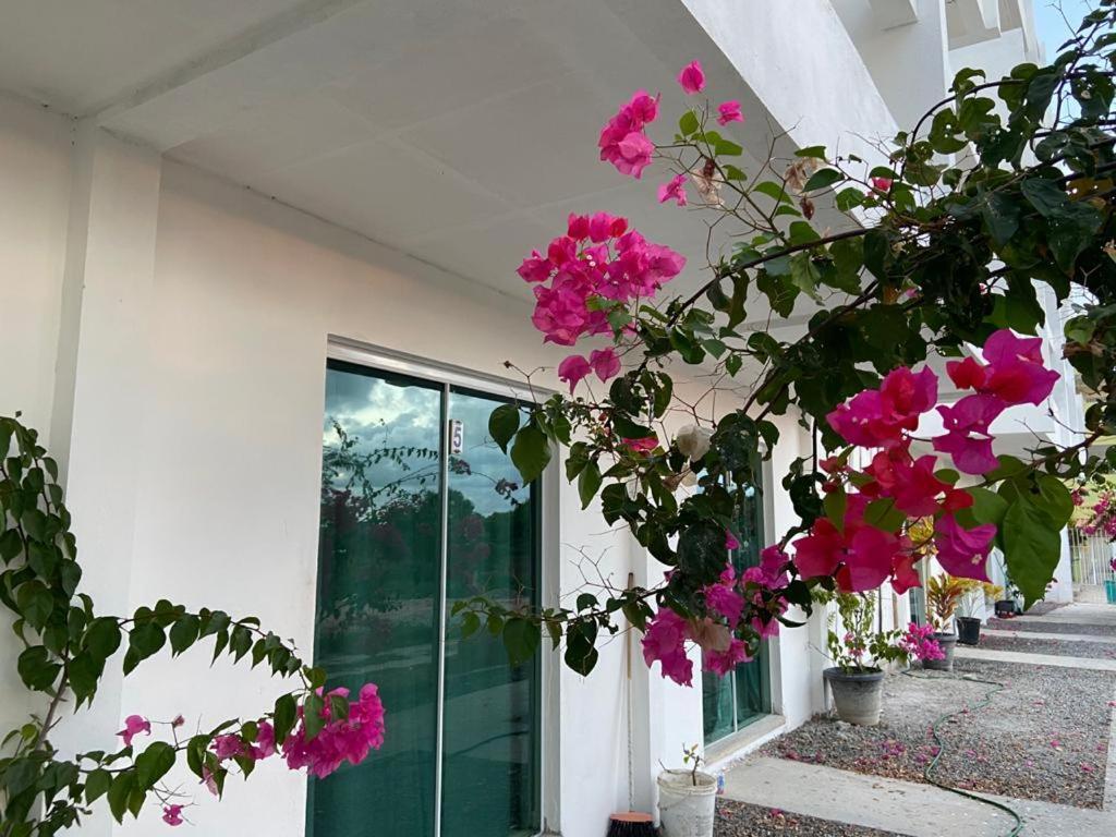 Solar Teixeira Flats Hotel Porto de Galinhas Exterior photo